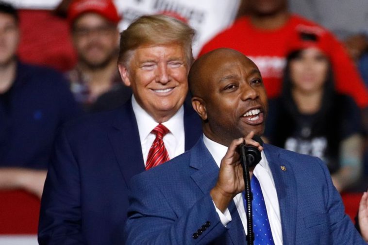 Tim Scott Donald Trump