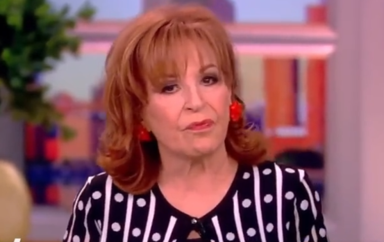 Joy Behar The View