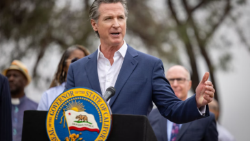 Gavin Newsom