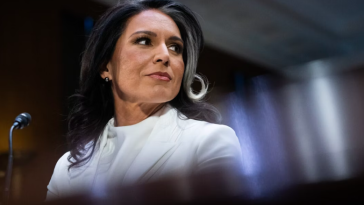 Tulsi Gabbard