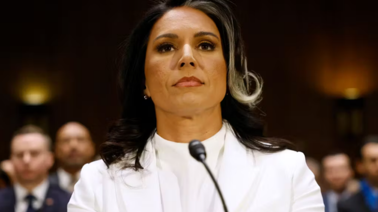 Tulsi Gabbard